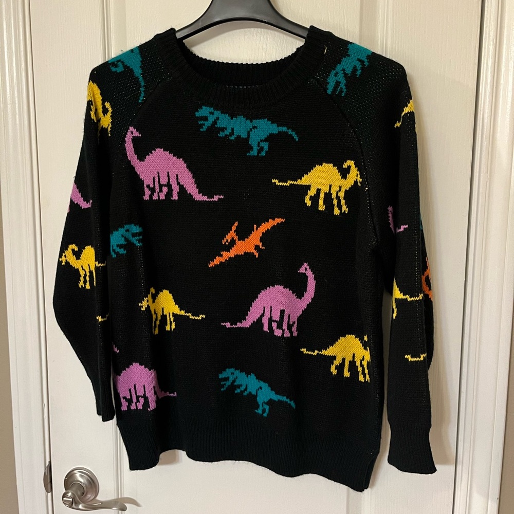 Dinosaur sweater worn once!
